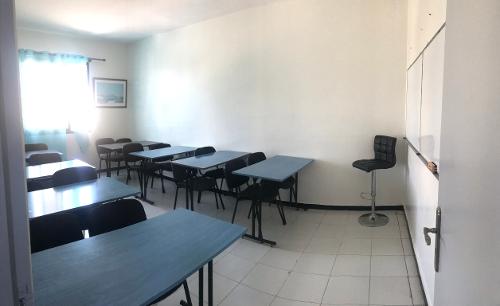 Alpha Académie 